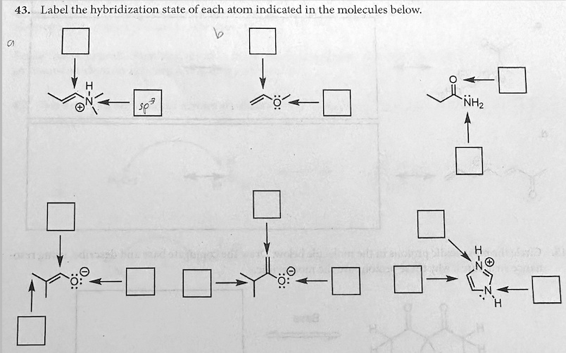 43. Label the hybridization state of each atom indicated in the molecules below.