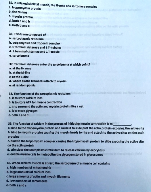 SOLVED: 35. In relaxed skeletal muscle, the H-zone of a sarcomere ...