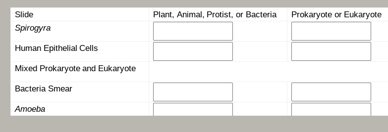 Slide	Plant, Animal, Protist, or Bacteria	Prokaryote or Eukaryote
Spirogyra
Human Epithelial Cells
Mixed Prokaryote and Eukaryote
Bacteria Smear
Amoeba