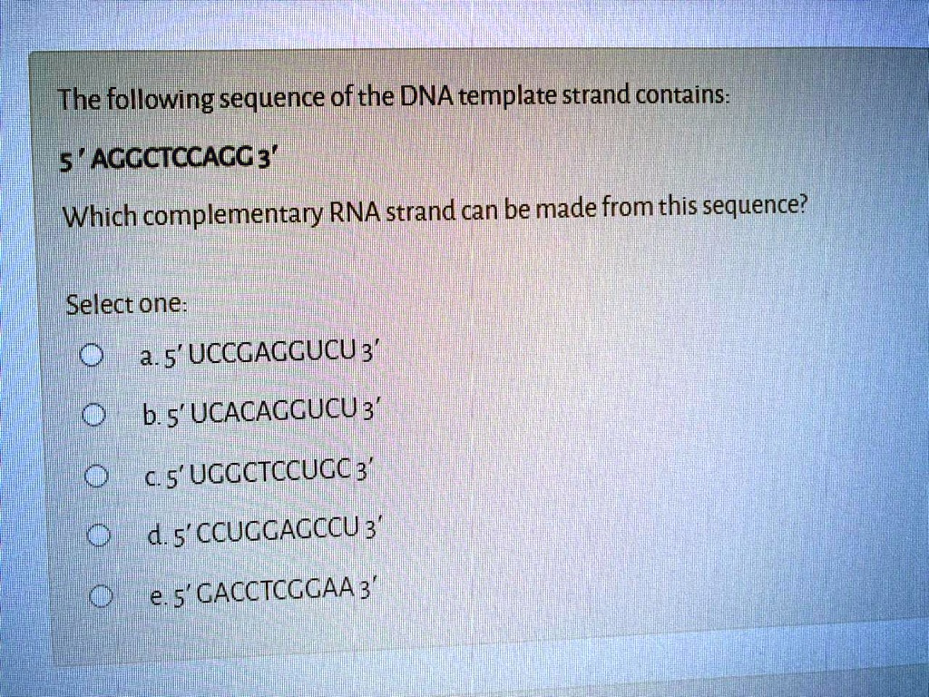 the following sequence ofthe dna template strand contains 5 accctccacc the following sequence ofthe dna template strand contains 5 accctccacc
