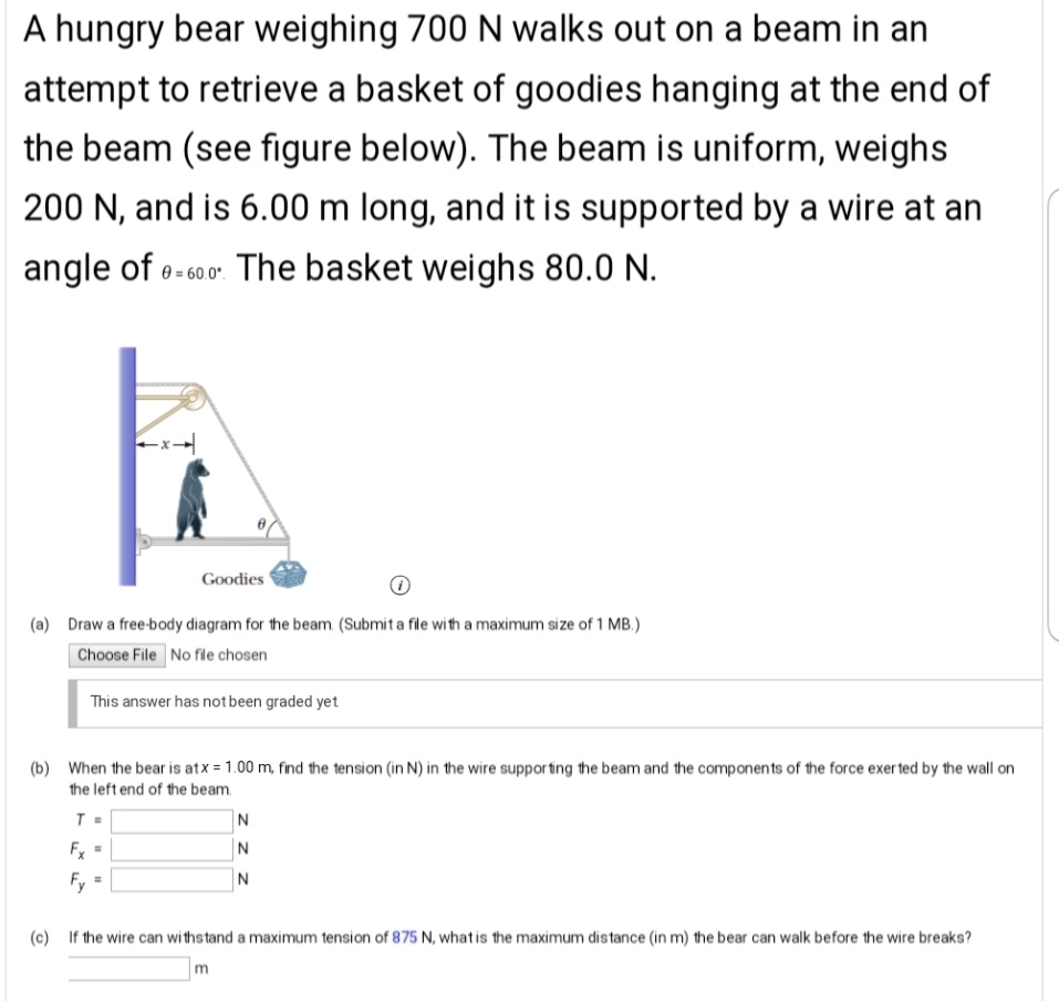 A hungry bear weighing 700 N walks out on a beam in an attempt to ...