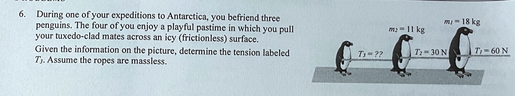 6. During one of your expeditions to Antarctica, you befriend three penguins. The four of you enjoy a playful pastime in which you pull your tuxedo-clad mates across an icy (frictionless) surface. Given the information on the picture, determine the tension labeled T3. Assume the ropes are massless. m1 = 18  kg, m2 = 11  kg, T2 = 30  N, T1 = 60  N