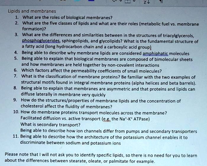 SOLVED Lipids and Membranes Roles, Structures, and Functions What are