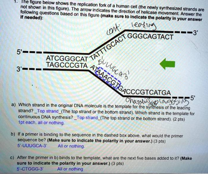 nnesigure below shows the replication not shown in this figure the ...