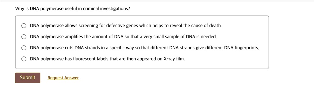 Why Is Dna Polymerase Useful In Criminal Investigations