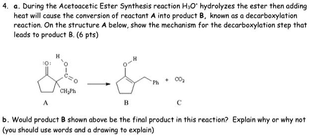 Solved During The Acetoacetic Ester Synthesis Reaction H3o Hydrolyzes The Ester Then Adding 6186