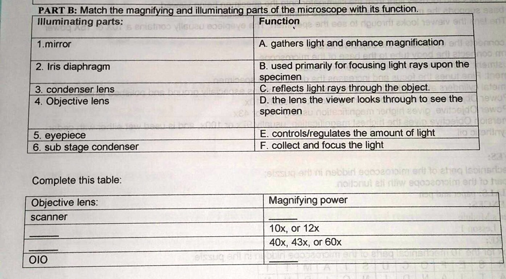 PART B: Match the magnifying and illuminating parts of the microscope ...