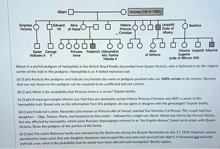 Albert Victoria (1819–1901)
Empress Victoria Edward VII Alice of Hesse Helena Princess Christian Leopold Duke of Albany Beatrice
Kaiser Wilhelm II George V Princess Irene Frederick (Alexandra) Alix Tsarina Nikolas II Alice of Athlone Victoria Eugenie (wife of Alfonso XIII) Leopold Maurice
Above is a partial pedigree of hemophilia in the British Royal Family descended from Queen Victoria, who is believed to be the original carrier of the trait in this pedigree. Hemophilia is an X-linked recessive trait.
(a) (3 pts) Analyze the pedigree and indicate any females (by name or pedigree position) who are 100% certain to be carriers. Spouses that are not shown in the pedigree can be assumed to be unaffected and not carriers.
(b) (2 pts) What is the probability that Princess Irene is a carrier? Explain briefly.
(c) (3 pts) A royal genealogist informs you that they are absolutely certain Helena Princess Christian was NOT a carrier of the hemophilia trait. Based only on the information from this pedigree, do you agree or disagree with the genealogist? Explain briefly.
(d) (3 pts) Frederick's sister, Alexandra (also known as Princess Alix of Hesse), married Tsar Nicholas II of Russia. The couple had four daughters - Olga, Tatiana, Maria, and Anastasia (in that order) - followed by a single son, Alexei. Alexei was heir to the Russian throne, but was affected by hemophilia, which some Russians disparagingly referred to as "the English disease," based on its origin with Queen Victoria. Draw the pedigree of this portion of the family.
(e) (2 pts) The entire Romanov family was executed by the Bolsheviks during the Russian Revolution on July 17, 1918. However, rumors persisted for many years that one daughter, Anastasia, had escaped the execution and survived [she didn't]. If Anastasia had survived and had a son, what is the probability that he would have been affected with hemophilia? Briefly explain.