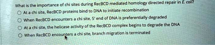 What is the importance of chi sites during RecBCD mediated homology directed repair in E. coli?
At a chi site, RecBCD proteins bind to DNA to initiate recombination
When RecBCD encounters a chi site, 5' end of DNA is preferentially degraded
At a chi site, the helicase activity of the RecBCD complex begins to degrade the DNA
When RecBCD encounters a chi site, branch migration is terminated