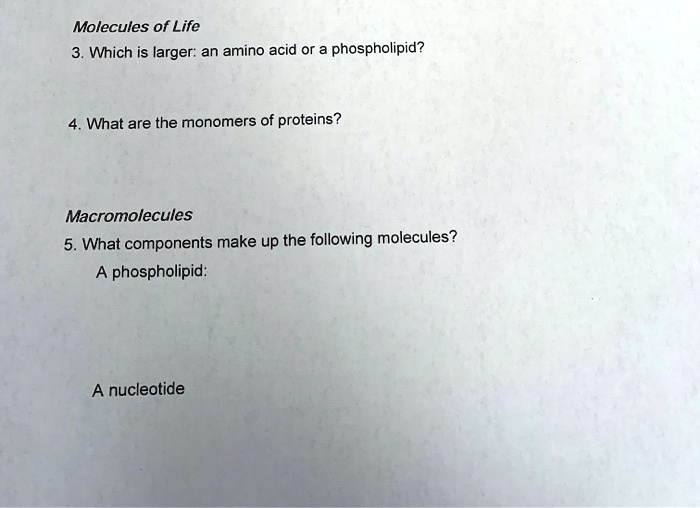 SOLVEDMolecules of Life 3. Which is larger an amino acid or phospholipid? What are the