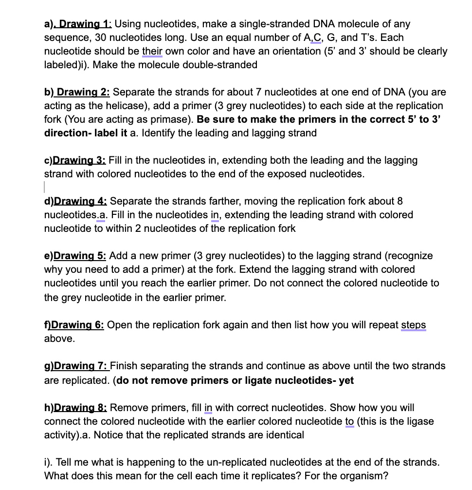a). Drawing 1: Using nucleotides, make a single-stranded DNA molecule of any sequence, 30 nucleotides long. Use an equal number of A,C, G, and T's. Each nucleotide should be their own color and have an orientation (5' and 3' should be clearly labeled)i). Make the molecule double-stranded

b) Drawing 2: Separate the strands for about 7 nucleotides at one end of DNA (you are acting as the helicase), add a primer (3 grey nucleotides) to each side at the replication fork (You are acting as primase). Be sure to make the primers in the correct 5' to 3' direction- label it a. Identify the leading and lagging strand

c)Drawing 3: Fill in the nucleotides in, extending both the leading and the lagging strand with colored nucleotides to the end of the exposed nucleotides.

d)Drawing 4: Separate the strands farther, moving the replication fork about 8 nucleotides.a. Fill in the nucleotides in, extending the leading strand with colored nucleotide to within 2 nucleotides of the replication fork

e)Drawing 5: Add a new primer (3 grey nucleotides) to the lagging strand (recognize why you need to add a primer) at the fork. Extend the lagging strand with colored nucleotides until you reach the earlier primer. Do not connect the colored nucleotide to the grey nucleotide in the earlier primer.

f)Drawing 6: Open the replication fork again and then list how you will repeat steps above.

g)Drawing 7: Finish separating the strands and continue as above until the two strands are replicated. (do not remove primers or ligate nucleotides- yet

h)Drawing 8: Remove primers, fill in with correct nucleotides. Show how you will connect the colored nucleotide with the earlier colored nucleotide to (this is the ligase activity).a. Notice that the replicated strands are identical

i). Tell me what is happening to the un-replicated nucleotides at the end of the strands. What does this mean for the cell each time it replicates? For the organism?