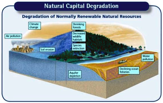 solved-natural-capital-degradation-degradation-of-normally-renewable