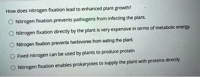How does nitrogen fixation lead to enhanced plant growth?

Nitrogen fixation prevents pathogens from infecting the plant.

Nitrogen fixation directly by the plant is very expensive in terms of metabolic energy.

Nitrogen fixation prevents herbivores from eating the plant.

Fixed nitrogen can be used by plants to produce protein

Nitrogen fixation enables prokaryotes to supply the plant with proteins directly