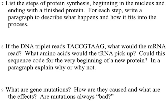 Solved 7 List The Steps Of Protein Synthesis Beginning In The Nucleus And Ending With A Finished Protein For Each Step Write A Paragraph To Describe What Happens And How It Fits Into