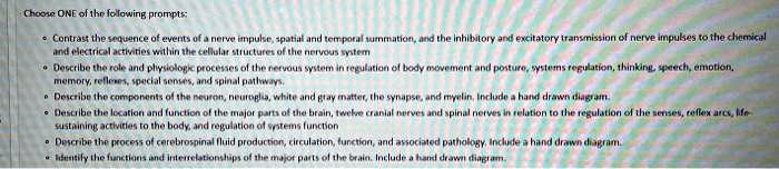 Choose ONE of the following prompts:
• Contrast the sequence of events of a nerve impulse, spatial and temporal summation, and the inhibitory and excitatory transmission of nerve impulses to the chemical and electrical activities within the cellular structures of the nervous system
• Describe the role and physiologic processes of the nervous system in regulation of body movement and posture, systems regulation, thinking, speech, emotion, memory, reflexes, special senses, and spinal pathways.
• Describe the components of the neuron, neuroglia, white and gray matter, the synapse, and myelin. Include a hand drawn diagram.
• Describe the location and function of the major parts of the brain, twelve cranial nerves and spinal nerves in relation to the regulation of the senses, reflex arcs, life-sustaining activities to the body, and regulation of systems function
• Describe the process of cerebrospinal fluid production, circulation, function, and associated pathology. Include a hand drawn diagram.
• Identify the functions and interrelationships of the major parts of the brain. Include a hand drawn diagram.