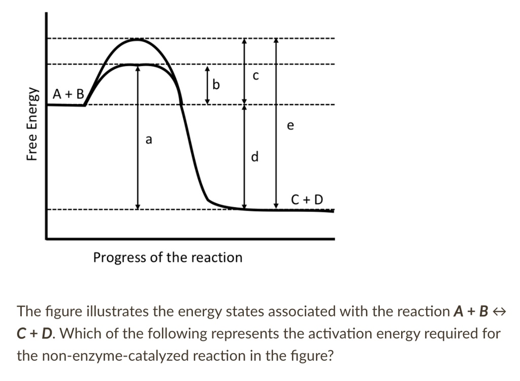 SOLVED q A + B Energy 2 C + D Progress of the reaction The figure