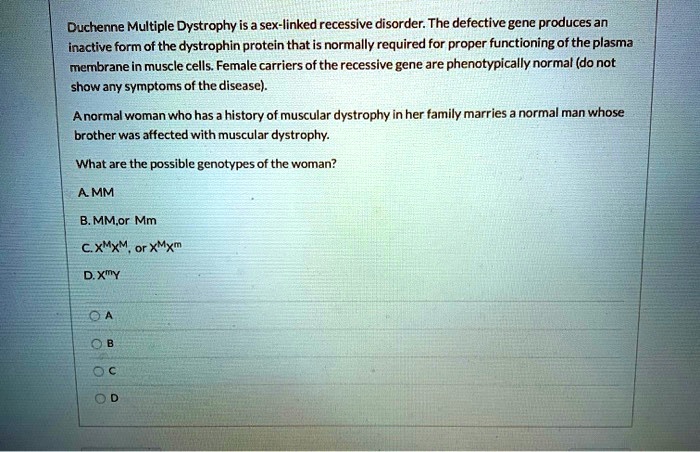 Duchenne Multiple Dystrophy is a sex-linked recessive disorder. The defective gene produces an inactive form of the dystrophin protein that is normally required for proper functioning of the plasma membrane in muscle cells. Female carriers of the recessive gene are phenotypically normal (do not show any symptoms of the disease).

A normal woman who has a history of muscular dystrophy in her family marries a normal man whose brother was affected with muscular dystrophy.

What are the possible genotypes of the woman?
A. MM
B. MM,or Mm
C. XMXM, or XMXm
D. XmY