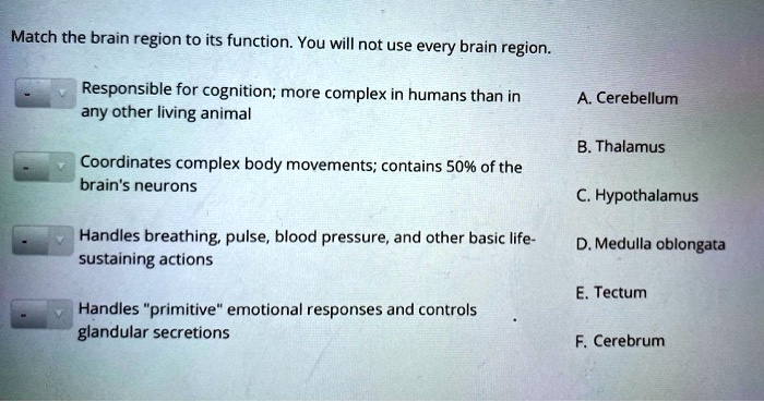 Match the brain region to its function. You will not use every brain region.

Responsible for cognition; more complex in humans than in any other living animal
A. Cerebellum

Coordinates complex body movements; contains 50% of the brain's neurons
B. Thalamus
C. Hypothalamus

Handles breathing, pulse, blood pressure, and other basic life-sustaining actions
D. Medulla oblongata

Handles "primitive" emotional responses and controls glandular secretions
E. Tectum
F. Cerebrum