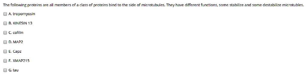 The following proteins are all members of a class of proteins bind to the side of microtubules. They have different functions, some stabilize and some destabilize microtubles.
A. tropomyosin
B. KINESIN 13
C. cofilin
D. MAP2
E. Capz
F. XMAP215
G. tau