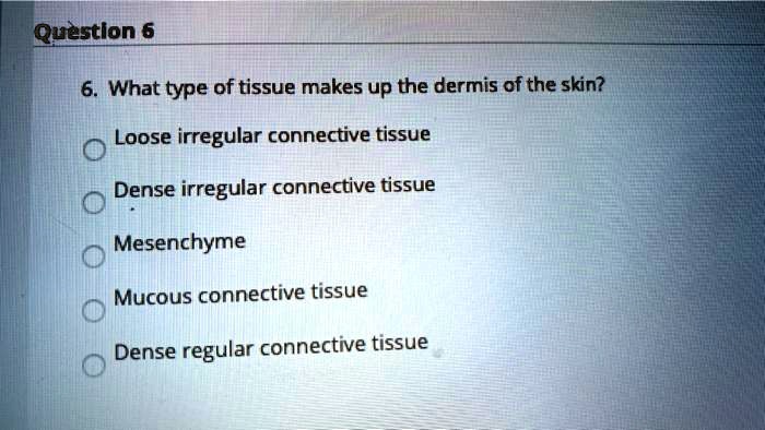 6. What type of tissue makes up the dermis of the skin?
Loose irregular connective tissue
Dense irregular connective tissue
Mesenchyme
Mucous connective tissue
Dense regular connective tissue