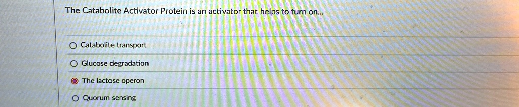 The Catabolite Activator Protein is an activator that helps to turn on ...