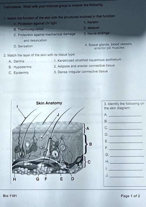 SOLVED: Instructlons Work with your informal group to answer the ...