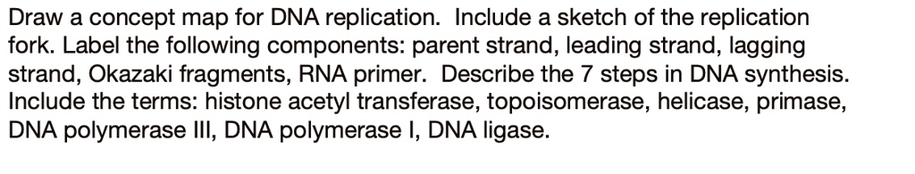 SOLVED: Draw concept map for DNA replication: Include a sketch of the ...