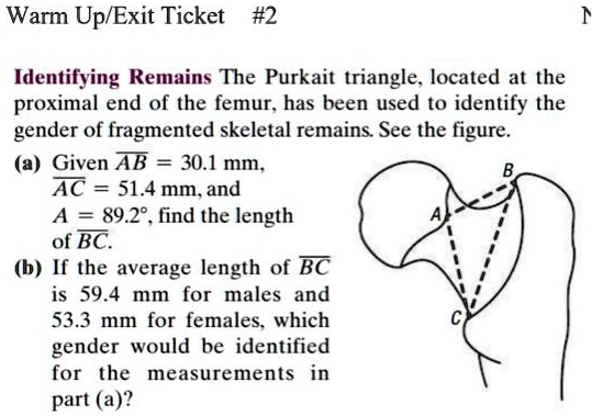 warm upexit ticket 2 identifying remains the purkait triangle located ...