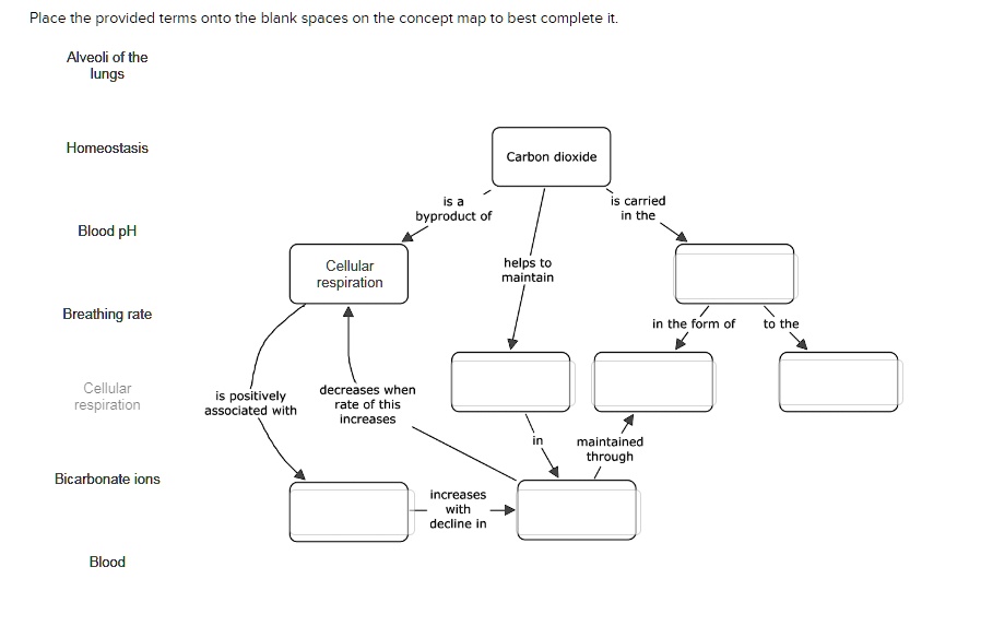 SOLVED: Place the provided terms onto the blank spaces on the concept ...