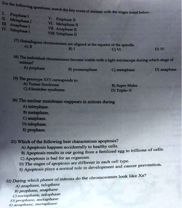 SOLVED: For the tollowing 5 questions; match the key event of meiosis ...