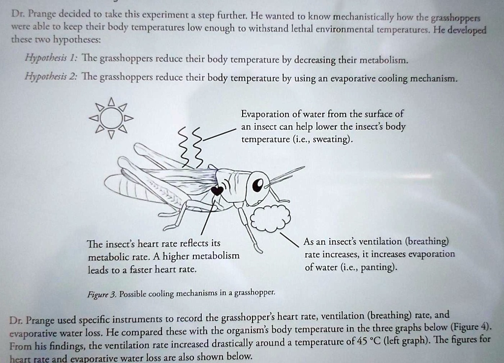 SOLVED: Dr. Prange Decided To Take This Experiment A Step Further: He ...