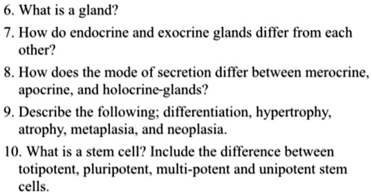 Solved 6 What Is A Gland 7 How Do Endocrine And Exocrine Glands Differ From Each Other 8