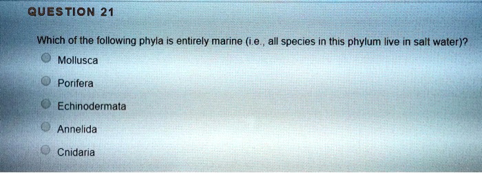 QUESTION 21
Which of the following phyla is entirely marine (i.e., all species in this phylum live in salt water)?
Mollusca
Porifera
Echinodermata
Annelida
Cnidaria