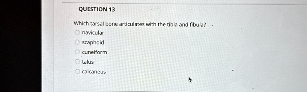 QUESTION 13 Which tarsal bone articulates with the tibia and fibula ...