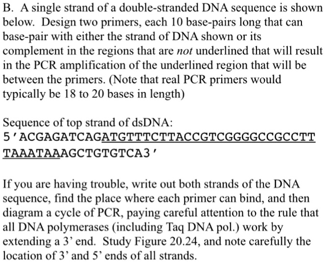 SOLVEDB A single strand of a doublestranded DNA sequence is shown