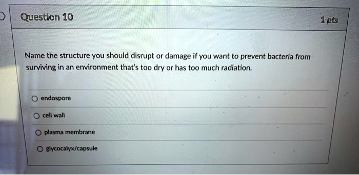 Name the structure you should disrupt or damage if you want to prevent bacteria from surviving in an environment that's too dry or has too much radiation.

endospore
cell wall
plasma membrane
glycocalyx/capsule