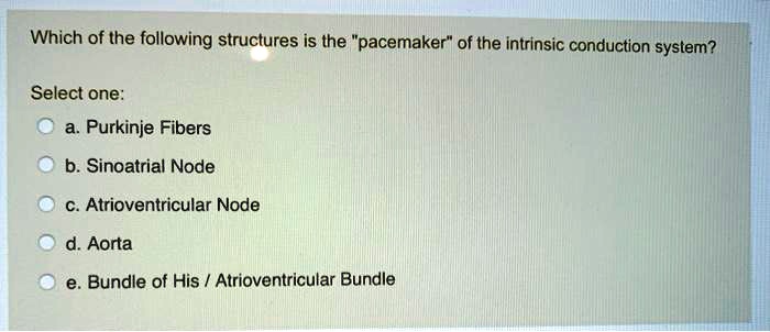 Which of the following structures is the "pacemaker" of the intrinsic conduction system?

Select one:
a. Purkinje Fibers
b. Sinoatrial Node
c. Atrioventricular Node
d. Aorta
e. Bundle of His / Atrioventricular Bundle