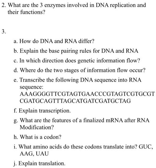 SOLVED2. What are the 3 enzymes involved in DNA replication and their