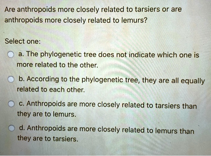 Are anthropoids more closely related to tarsiers or are
anthropoids more closely related to lemurs?
Select one:
a. The phylogenetic tree does not indicate which one is
more related to the other.
b. According to the phylogenetic tree, they are all equally
related to each other.
c. Anthropoids are more closely related to tarsiers than
they are to lemurs.
d. Anthropoids are more closely related to lemurs than
they are to tarsiers.