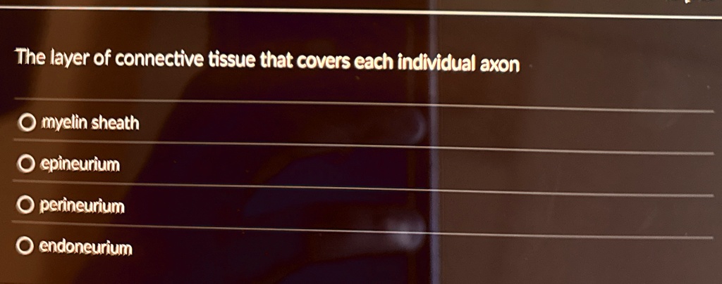 the layer of connective tissue that covers each individual axon o myelin sheath o epineurium o perineurium o endoneurium 87316