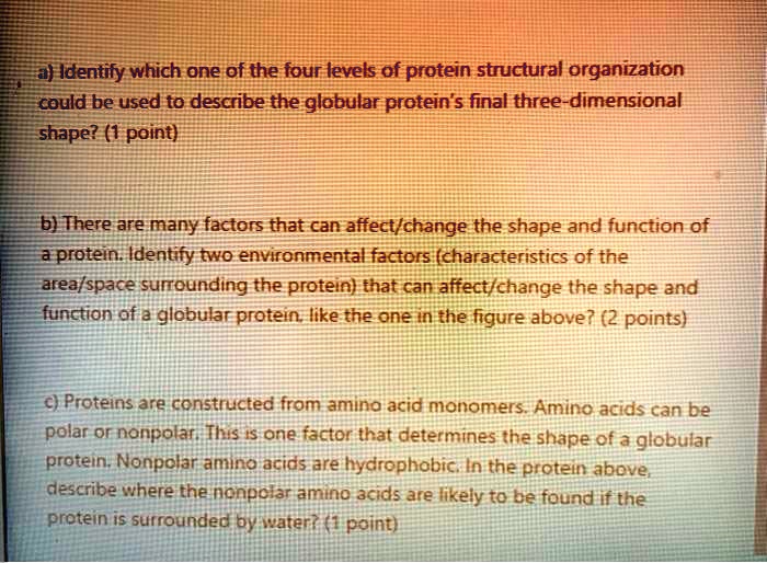 What Is Point By Point Organization