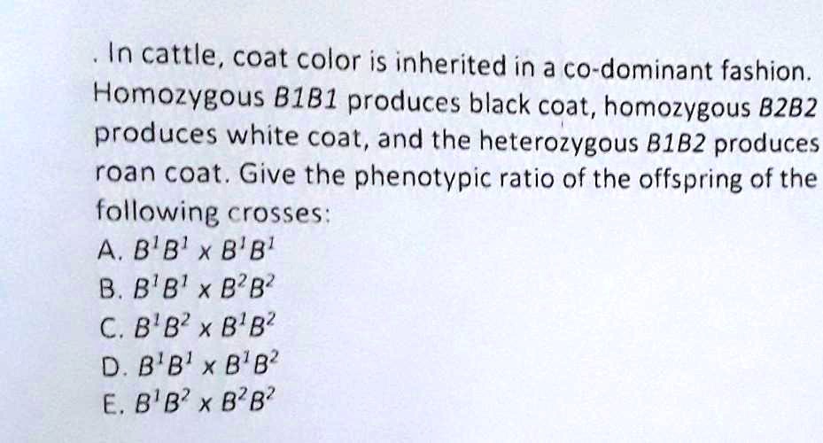 SOLVED Yawa urat na ako sa subject na 'to. In cattle, coat color is