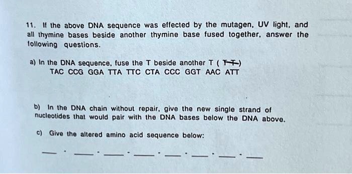 11. If the above DNA sequence was effected by the mutagen, UV light, and
all thymine bases beside another thymine base fused together, answer the
following questions.
a) In the DNA sequence, fuse the T beside another T (TT)
TAC CCG GGA TTA TTC CTA CCC GGT AAC ATT
b) In the DNA chain without repair, give the new single strand of
nucleotides that would pair with the DNA bases below the DNA above.
c) Give the altered amino acid sequence below: