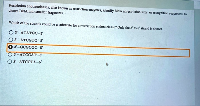 Solved Restriction Endonucleases Also Known S Restriction Cleave Dna Into Smaller Enzymes 5811