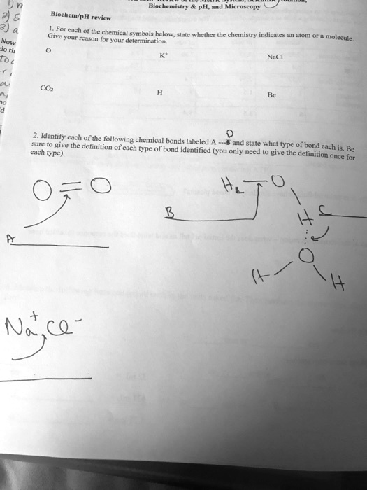 Biochem/pH review

1. For each of the chemical symbols below, state whether the chemistry indicates an atom or a molecule. Give your reason for your determination.

O	K+	NaCl

CO2	H	Be

2. Identify each of the following chemical bonds labeled A - D and state what type of bond each is. Be sure to give the definition of each type of bond identified (you only need to give the definition once for each type).

O=O
H2O
Na+Cl-