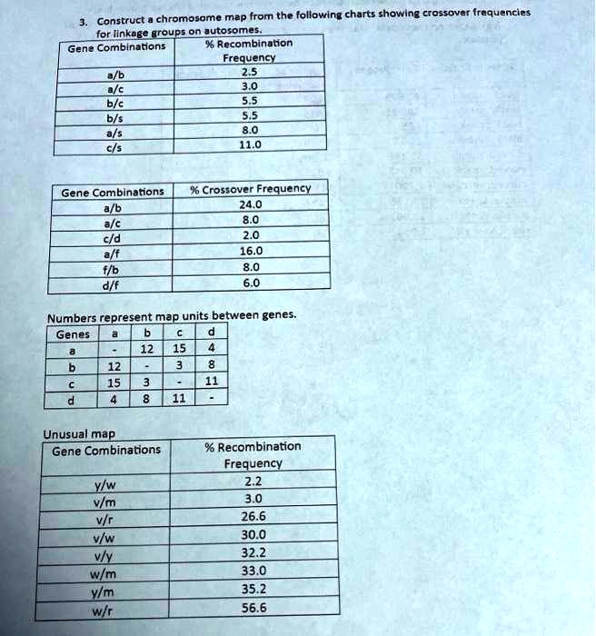 3. Construct a chromosome map from the following charts showing crossover frequencies for linkage groups on autosomes. Gene Combinations % Recombination Frequency a/b 2.5 a/c 3.0 b/c 5.5 b/s 5.5 a/s 8.0 c/s 11.0 Gene Combinations % Crossover Frequency a/b 24.0 a/c 8.0 c/d 2.0 a/f 16.0 f/b 8.0 d/f 6.0 Numbers represent map units between genes. Genes a b c d a - 12 15 4 b 12 - 3 8 c 15 3 - 11 d 4 8 11 - Unusual map Gene Combinations % Recombination Frequency y/w 2.2 v/m 3.0 v/r 26.6 v/w 30.0 v/y 32.2 w/m 33.0 y/m 35.2 w/r 56.6