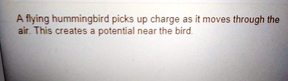 Solved A flying hummingbird picks up charge as it moves