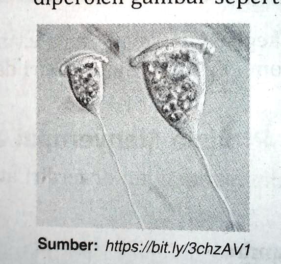 Jelaskan Bahwa Komik Bersifat Menggambarkan Watak