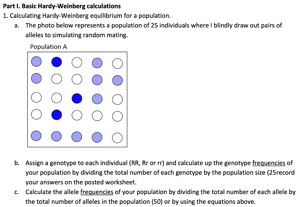 SOLVED: Part |, Basic Hardy-Weinberg Calculations 1. Calculating Hardy ...