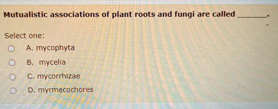 Mutualistic associations of plant roots and fungi are called .

Select one:
A. mycophyta
B. mycelia
C. mycorrhizae
D. myrmecochores